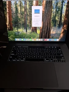 Apple MacBook Pro 16-inch 2019 i9-2.4GHz Intel 32GB/ 512 SPACE GRAY Used - Afbeelding 1 van 1