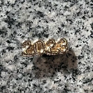 Crocs Jibbitz Gold 2023 Shoe Charm - Picture 1 of 5