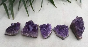 1 Amethyst Geode Crystal Quartz Amethyst Druze Cluster Gemstone Specimen Uruguay - Picture 1 of 7