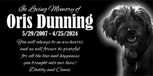 Custom Stone Memorial Grave Marker Granite Plaque Human headstone Dog cat - Picture 1 of 24