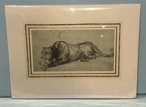 REMBRANDT VAN RIJN ~ Rare Quintessa Art Print “Study of a Lioness Eating a Bird" - Picture 1 of 12