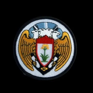 100TH BOMB GROUP H HAT PATCH US 8TH AIR FORCE PIN UP AFB 349 350 351 481 BS WOW - Picture 1 of 24