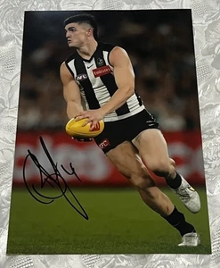 Brayden Maynard Hand Signed PHOTO  Collingwood Magpies 8” x 12”  Vintage COA - Picture 1 of 14