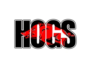 #0357 Arkansas Razorbacks Hogs Logo #1 College Sticker Waterproof Vinyl Decal - Picture 1 of 1