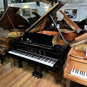 Steinway & Sons Model B Grand Piano in Black | RESTORED, 1888 |SHERWOOD PHOENIX - Picture 1 of 23