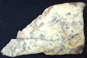 Dendritische Spitzenachat Platte - 130 Gramm - Gold - Weiß - Kanada - Bild 1 von 2