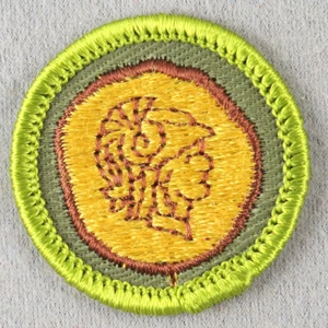 COIN COLLECTING 1961-1968 Type F Rolled Edge Khaki Twill Merit Badge - Picture 1 of 1