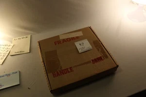 47. "Treuer Wächter" von Jeremy Paul, Dobermann Pinschers Teller - Bild 1 von 3