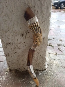 Cuerno Kudu Shofar Yemenita 24""+ con Placas Kosher León de Judá de Plata de Ley - Imagen 1 de 10