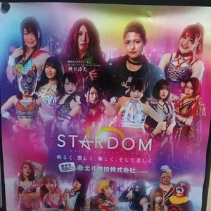 Stardom Women Pro Wrestling Poster - Bild 1 von 2