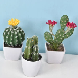 Mini Künstliche Sukkulenten Pflanze Gefälschter Kaktus zum Selbermachen Haus Garten Blumendeko - Bild 1 von 31