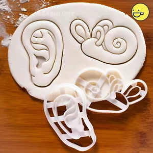 Set of 2 Anatomical Human Ears cookie cutter | Outer Ear & Inner Cochlea anatomy - Picture 1 of 11