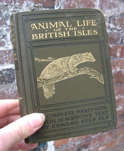 1924 Animal Life in the British Isles- Edward Step natural history - Picture 1 of 23