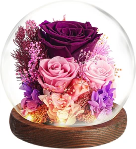 Real Roses Forever Flowers Mothers Day Gifts for Mom - Preserved Flowers for Del - Picture 1 of 12