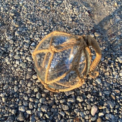 ENORME RED DE BOLAS Boya Redonda Japonesa VIDRIO FLOTADORES 8.7" 22cm Auténtica De Colección Foto 1 de 4