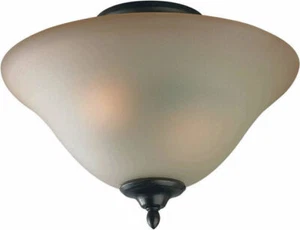 NIB Nice Forte-Lighting Semi-Flush Mount 2-Bulbs CEILING LIGHT (2241-02) - Picture 1 of 3