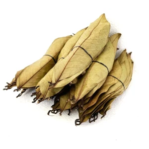 Hojas de Guanábana Soursop Dried Leaves Organic Annona Muricata Herbal Tea 50 - Picture 1 of 10