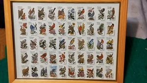 USPS STATE BIRDS & FLOWERS (50) 20 cent stamp sheet 1981-1982 FRAMED MNH - Picture 1 of 4