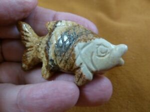 (Y-FIS-TR-563) jaspe bronzé poisson tropical pierre précieuse pierre à sculpter poissons aquarium