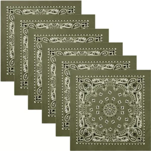 Trainmen Paisley Bandana 12-Pack Extra Large Head & Face Wrap 27"x27" - Picture 1 of 29