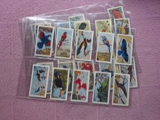 COMPLETE SET - MUSGRAVE TEA - TROPICAL BIRDS  VG a few GD