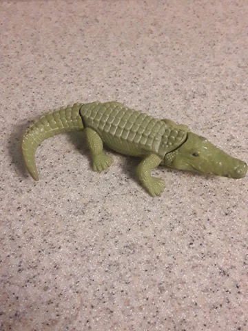 Crocodile Hunter Steve Irwin crocodile 2001 DCI bin Q Cover