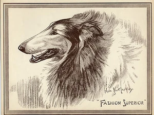 ROUGH COLLIE LOVELY HEAD STUDY DE SCOTT LANGLEY ORIGINAL 1934 PÁGINA IMPRESA para perros - Imagen 1 de 1