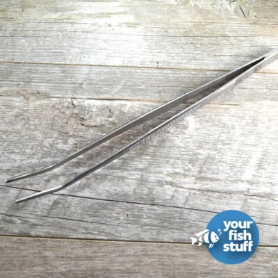  Pinzas curvas de acero inoxidable de 10" herramienta de acuascaping planta de acuario Foto 1 de 3