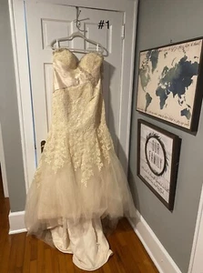 wedding dresses plus size - Picture 1 of 11