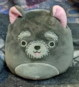Peluche Squishmallow Perro Cachorro Juguete de peluche Negro Chuy Gris Cairnl Terrier 5” - Imagen 1 de 2