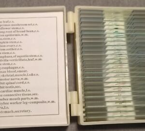 Scope 25 Prepared specimen Microscope Slides Glass with Plastic Box