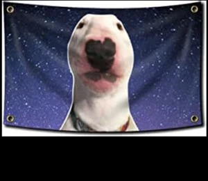 Walter Dog Meme 3’x5’ Flag Banner College Dorm Funny Man Cave College Bar - Picture 1 of 3