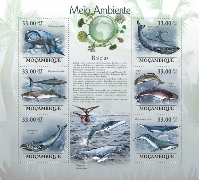 Mozambique 2010 MNH - Whales. Sc 1954, YT 2872-2877, Mi 3614-3619 - Image 1 of 1