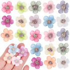 Verschiedene Mini Seide Gänseblümchen Blumen - 50 Stck. Zum Selbermachen Künstliche Blüten für Handwerk