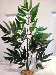 11" x 7" Small Green ARALIA Bush silk Plant, Stone Base, Goldfish & Betta-safe p - Picture 1 of 4