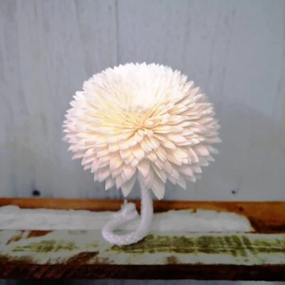 9 Chrysanthemum Sola Wood Diffuser Flowers 8 cm Dia. with Cotton Rope and A/W/S - Image 1 of 4