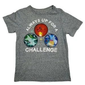 Pokemon 3D Always Up For A Challenge Gray Big Boys T-Shirt - Small - NWT - Picture 1 of 3