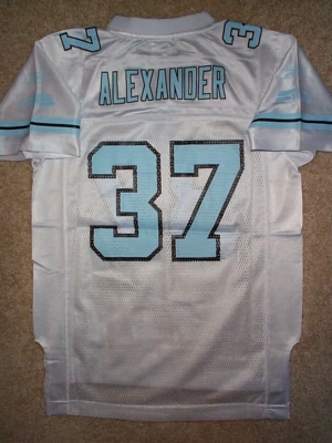 Camiseta deportiva Reebok Seattle Seahawks Shaun Alexander NFL juvenil *NIÑAS* (L-GRANDE-14) Foto 1 de 3