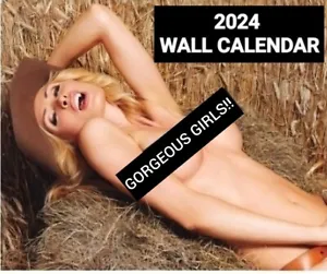 2024  WALL CALENDAR Hot Babes / Sexy Ladies    13 MONTH / TWELVE GORGEOUS GIRLS! - Picture 1 of 6