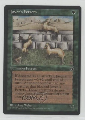 Joven's Ferrets Magic: Homelands 1995 - Image 1 of 2