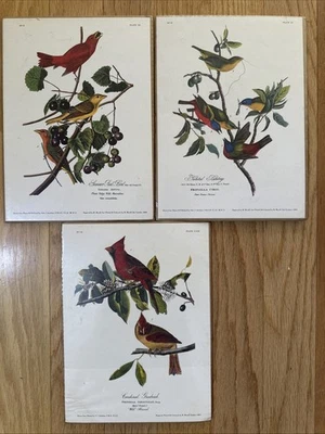 3 J. Audubon Prints Plate 53-44-Clix 1829 R. Havell Engraving London Sealed - Image 1 of 4