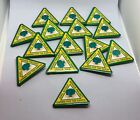 PIns (1992) Girl Scout Service Project ~Caring for the Earth~80 anniversary