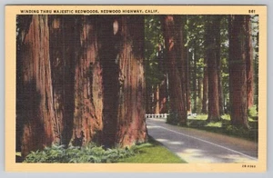 Redwood Highway Kalifornien Postkarte - Bild 1 von 2