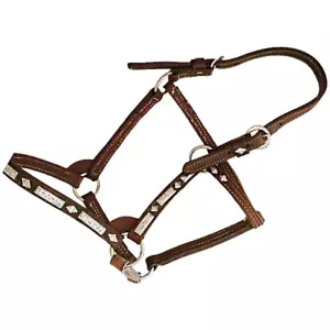 Vintage Sterling Silver Leather Show Halter Long Weanling to Yearling Longe Line - Picture 1 of 1