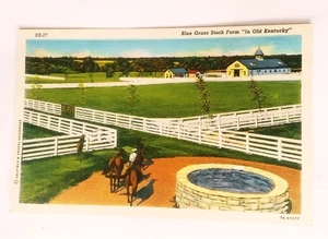 Blue Grass Stock Farm in Old Kentucky Pferd Postkarte KE-17 um 1946 - Bild 1 von 2
