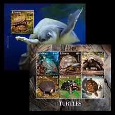 Turtles MNH Stamps 2022 Liberia M/S + S/S