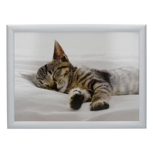 Creative Tops Laptray - Sleeping Kitten - Picture 1 of 4