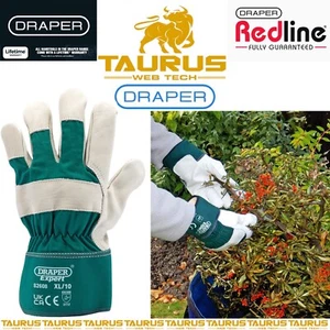Guanti da giardinaggio DRAPER Expert X-Large in pelle premium palme in pelle UK OMAGGIO P&P - Foto 1 di 4