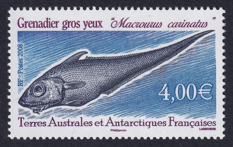 F. S. A. T. 2008 Macrourus Carinatus €4.00 SG 606 MNH/** (CV £23) - Image 1 of 1
