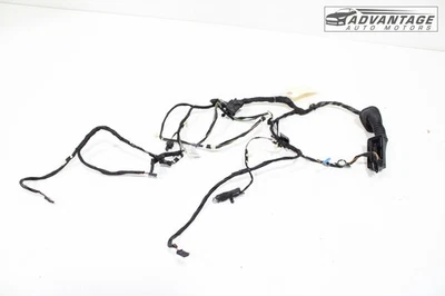 BMW 320I XDRIVE F30 2013-2018 panel de puerta delantera derecha arnés de cableado OEM Foto 1 de 4